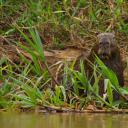 地球脉动2：奇迹世界剧照