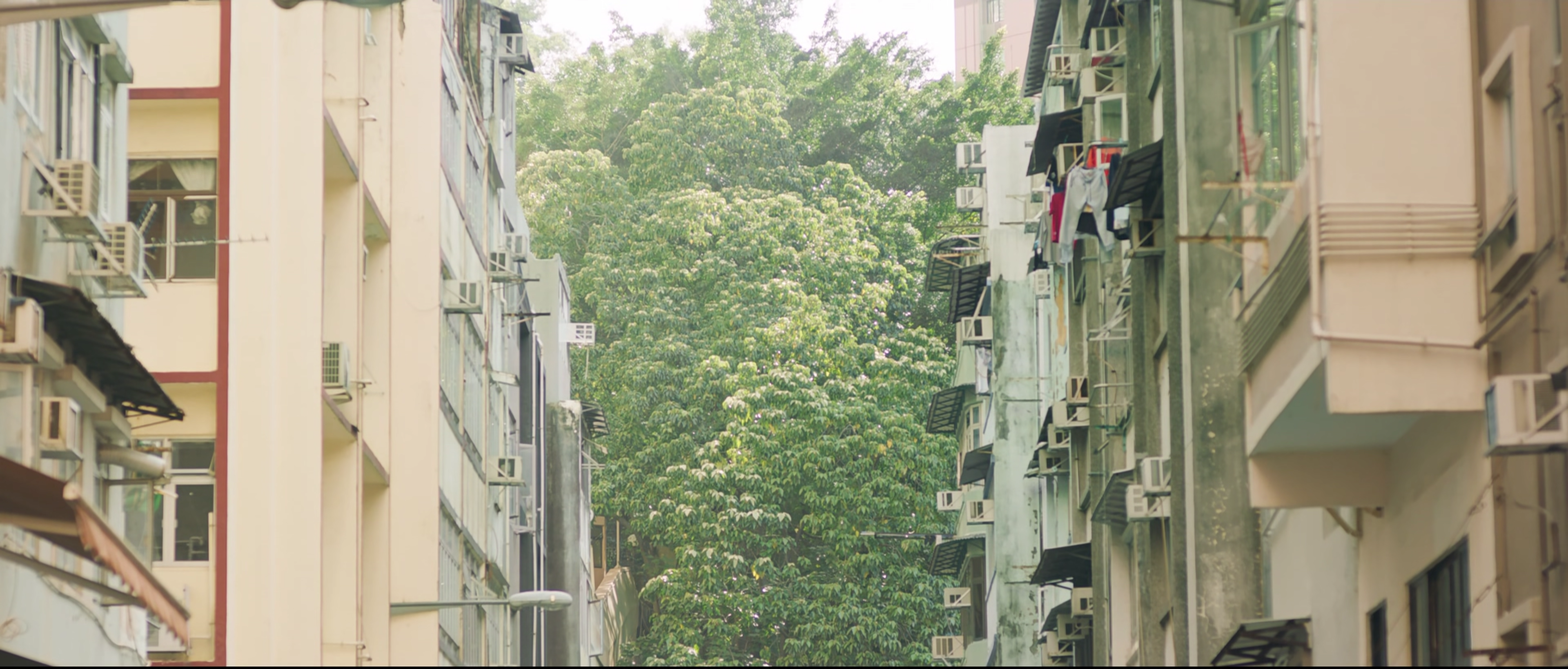 花椒之味剧照的剧照