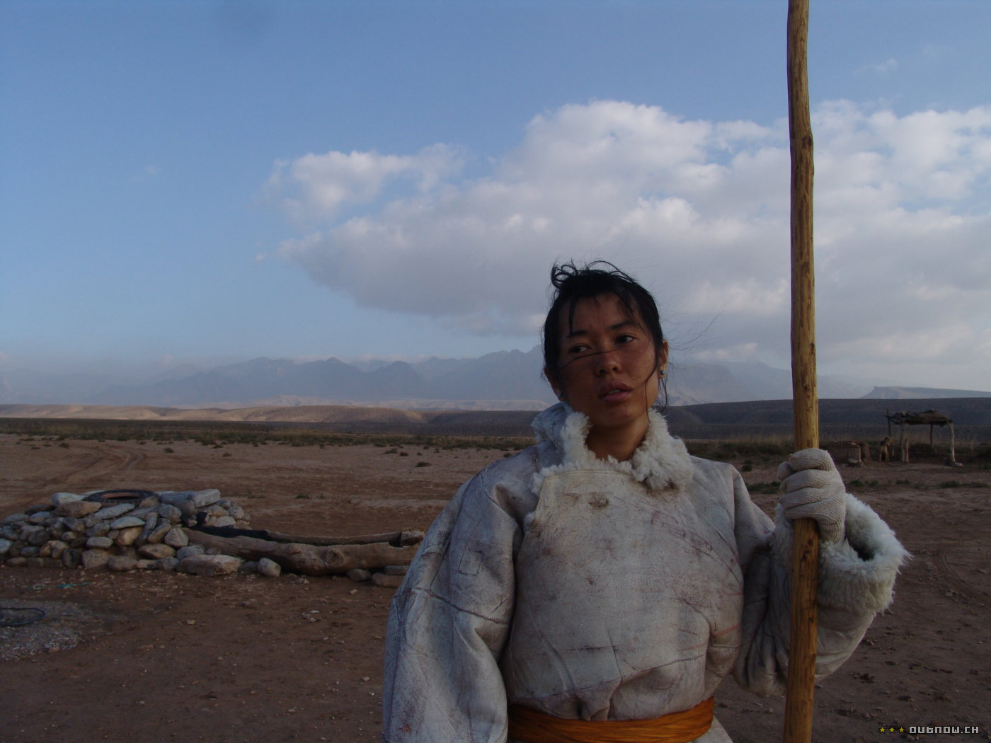 图雅的婚事剧照的剧照