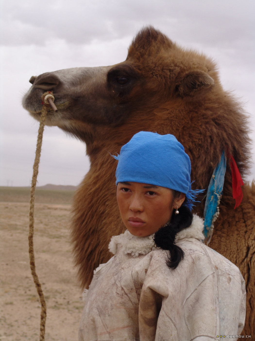 图雅的婚事剧照的剧照