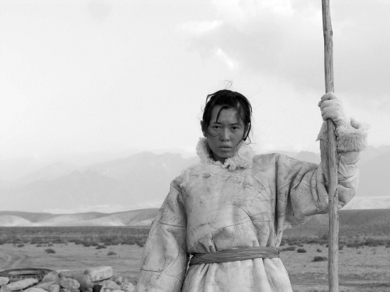 图雅的婚事剧照的剧照