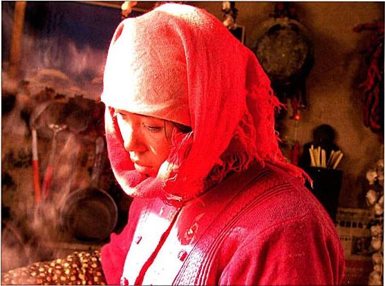 图雅的婚事剧照的剧照