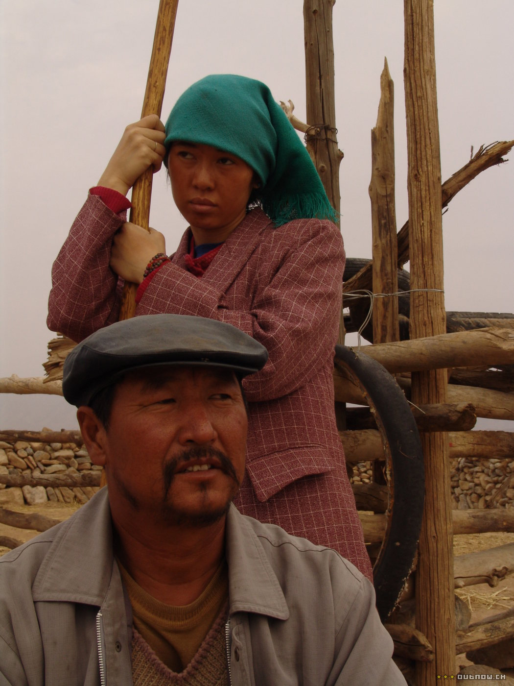 图雅的婚事剧照的剧照