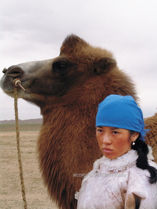 图雅的婚事剧照的剧照