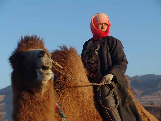 图雅的婚事剧照的剧照
