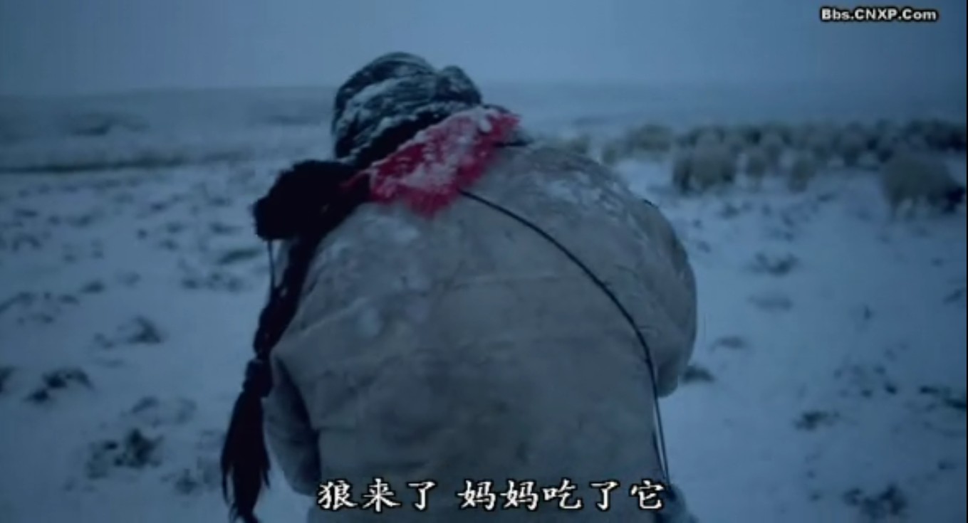 图雅的婚事剧照的剧照