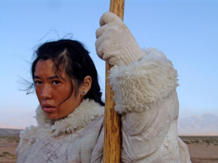 图雅的婚事剧照的剧照