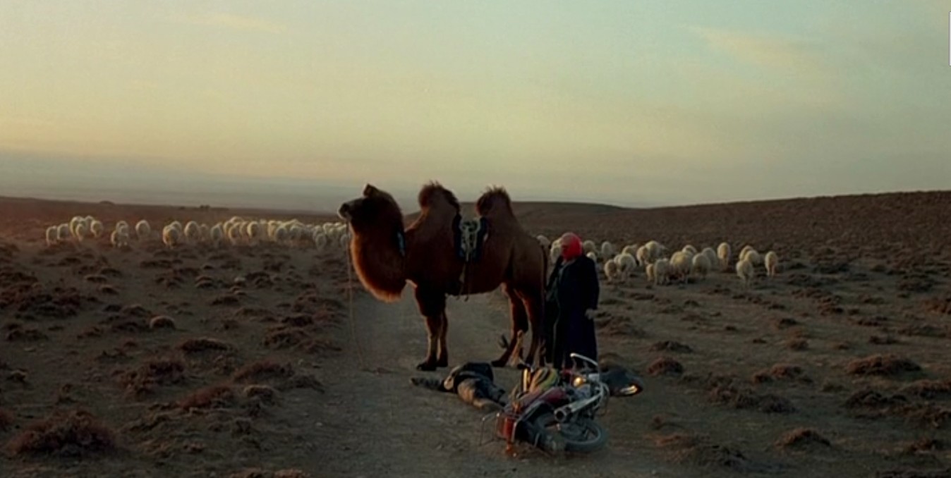 图雅的婚事剧照的剧照