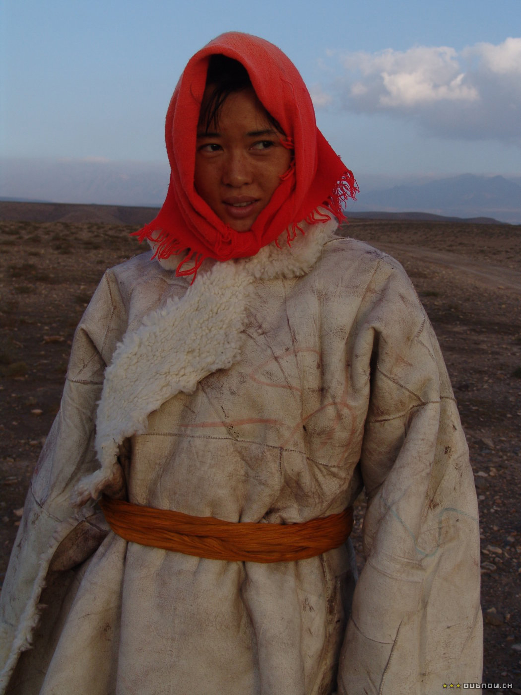 图雅的婚事剧照的剧照