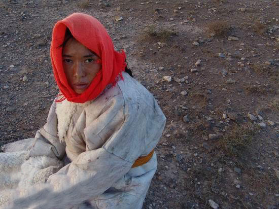 图雅的婚事剧照的剧照