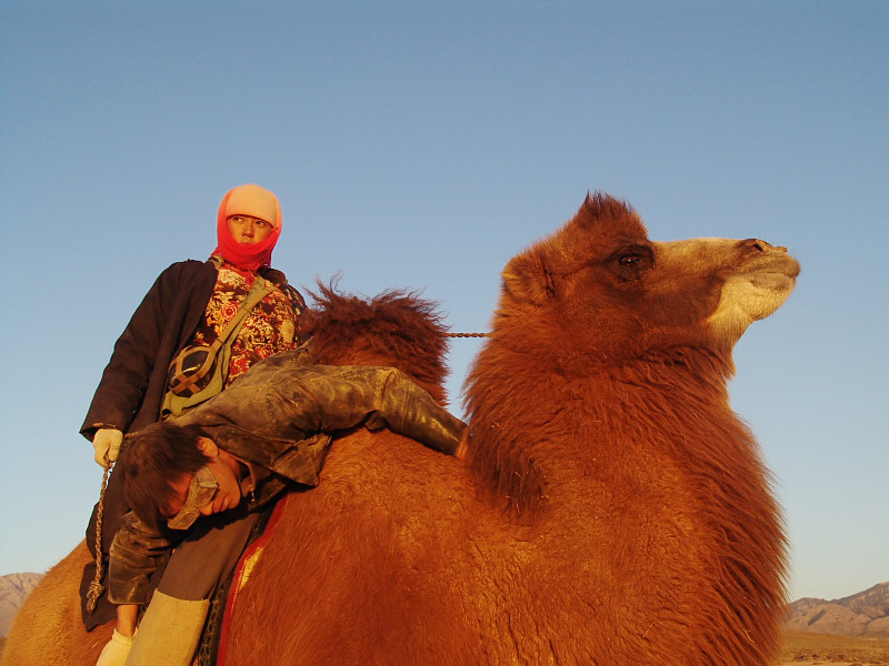图雅的婚事剧照的剧照