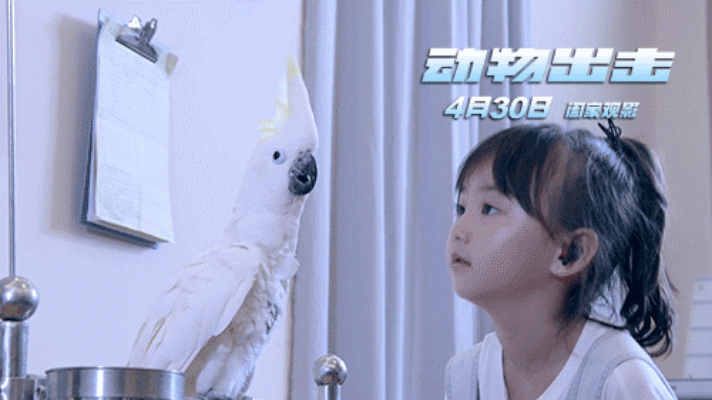 动物出击剧照的剧照