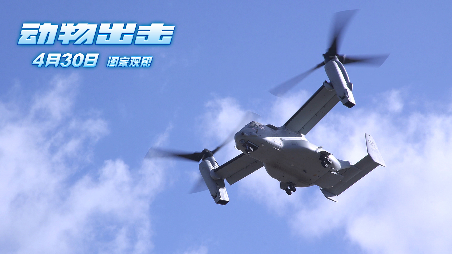 动物出击剧照的剧照