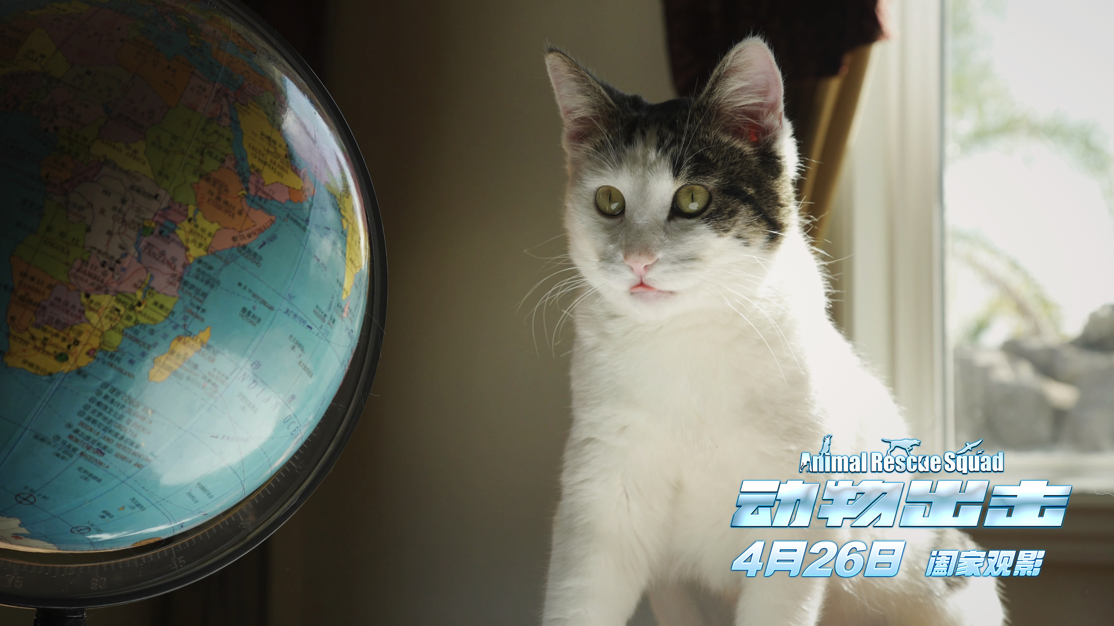 动物出击剧照的剧照