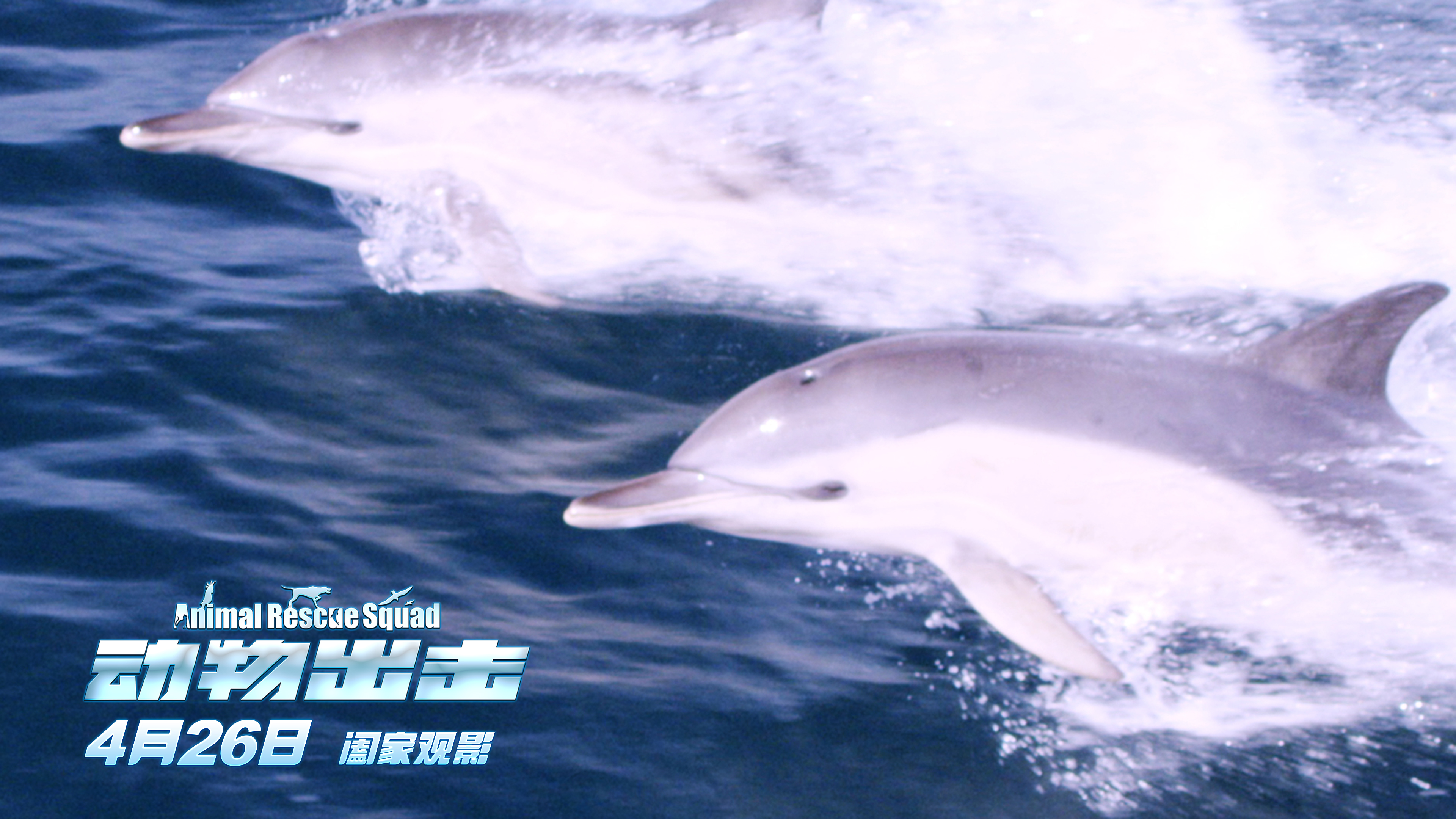 动物出击剧照的剧照