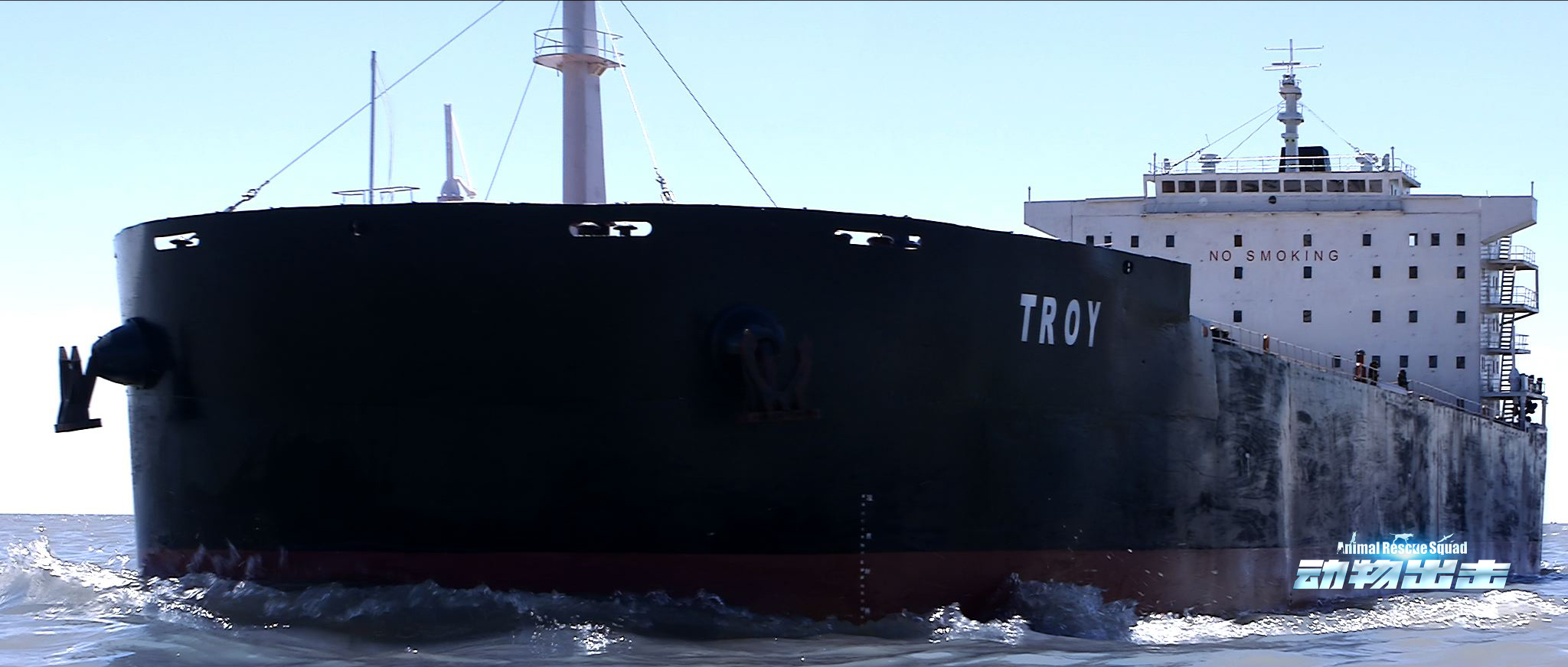 动物出击剧照的剧照