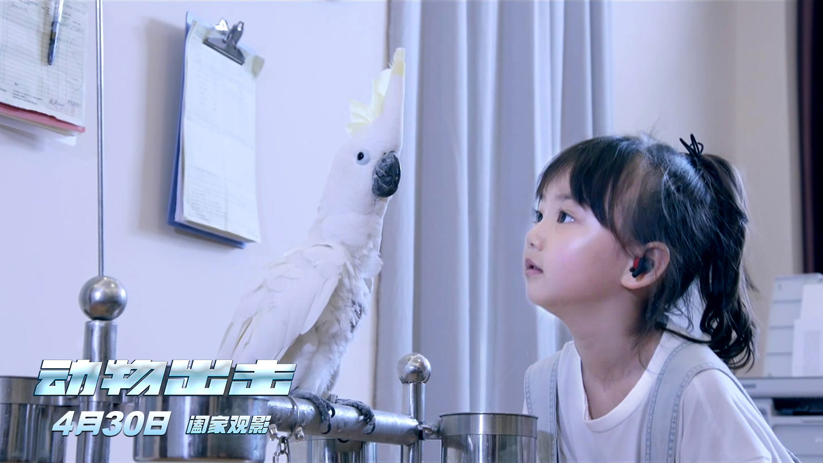 动物出击剧照的剧照