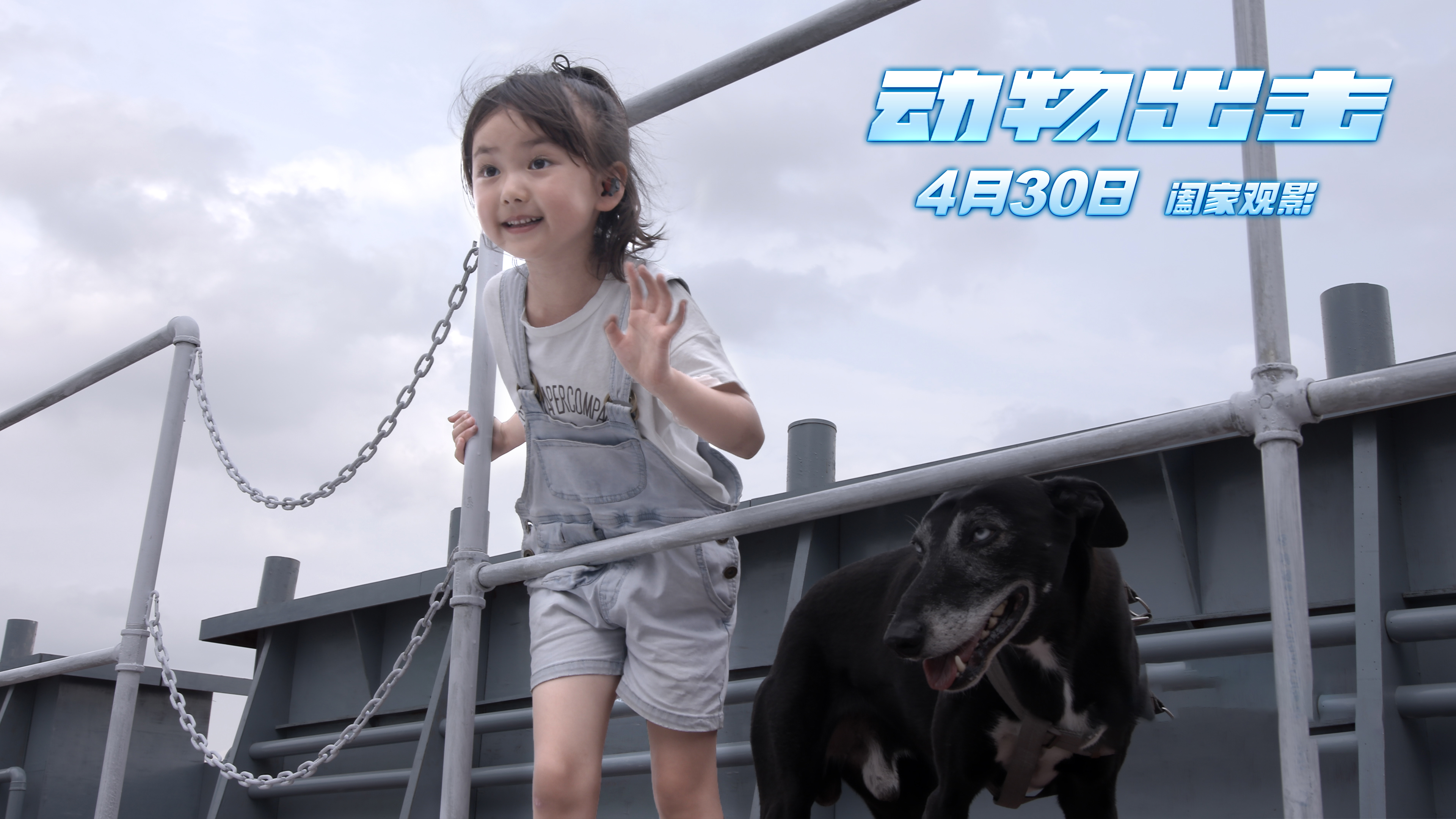 动物出击剧照的剧照