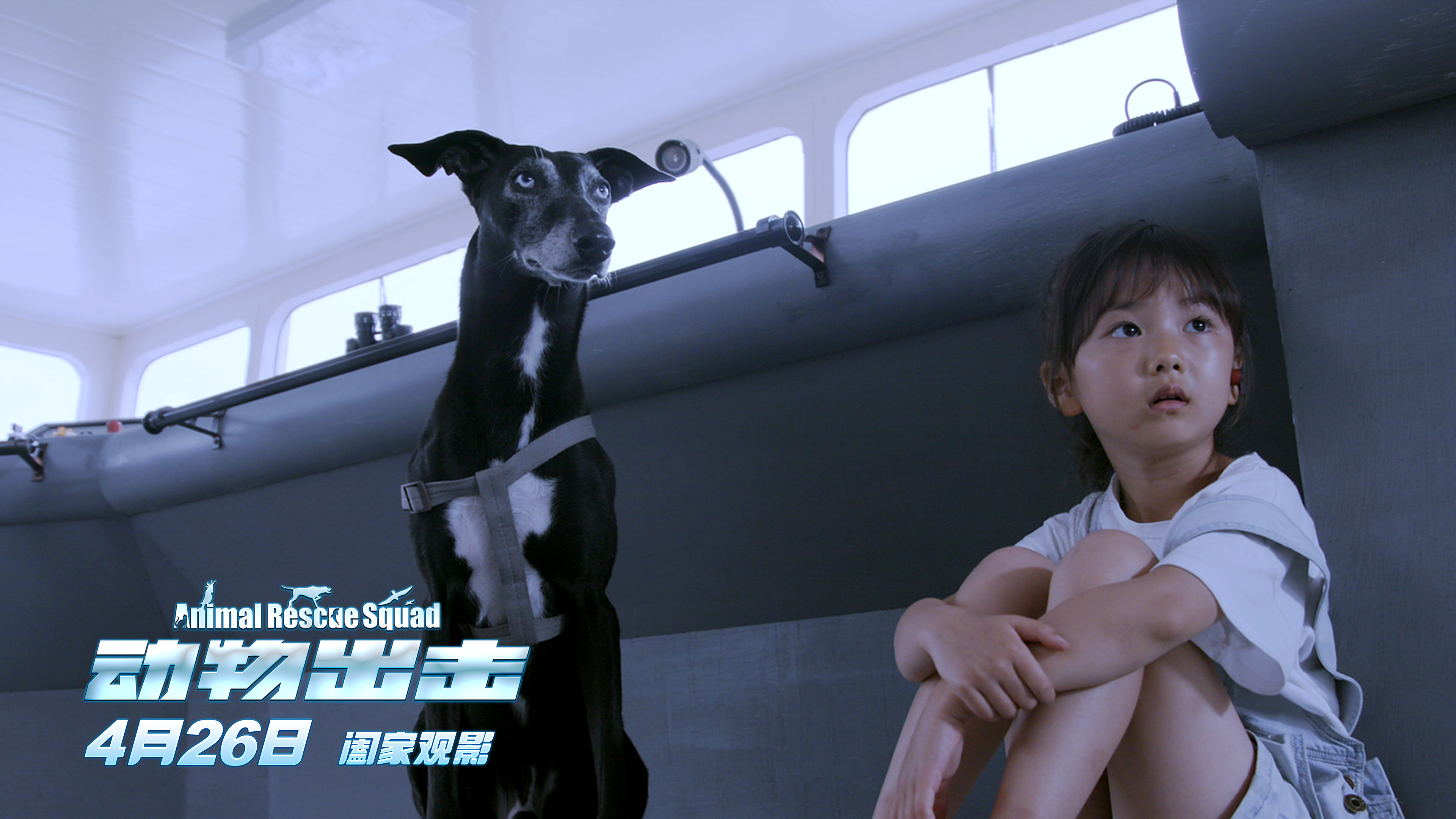 动物出击剧照的剧照