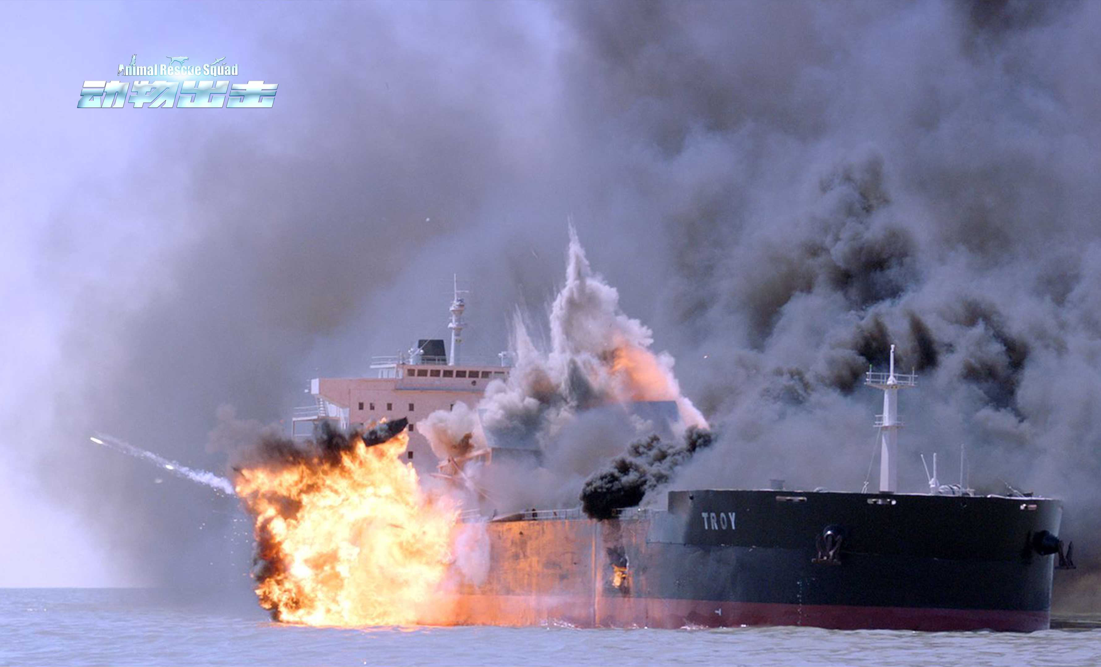 动物出击剧照的剧照