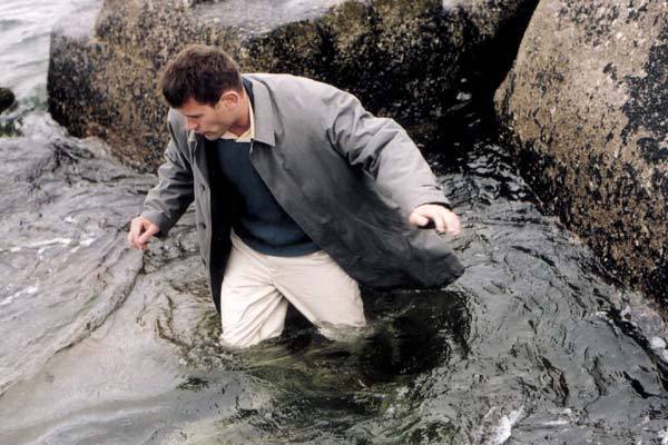 天敌剧照的剧照