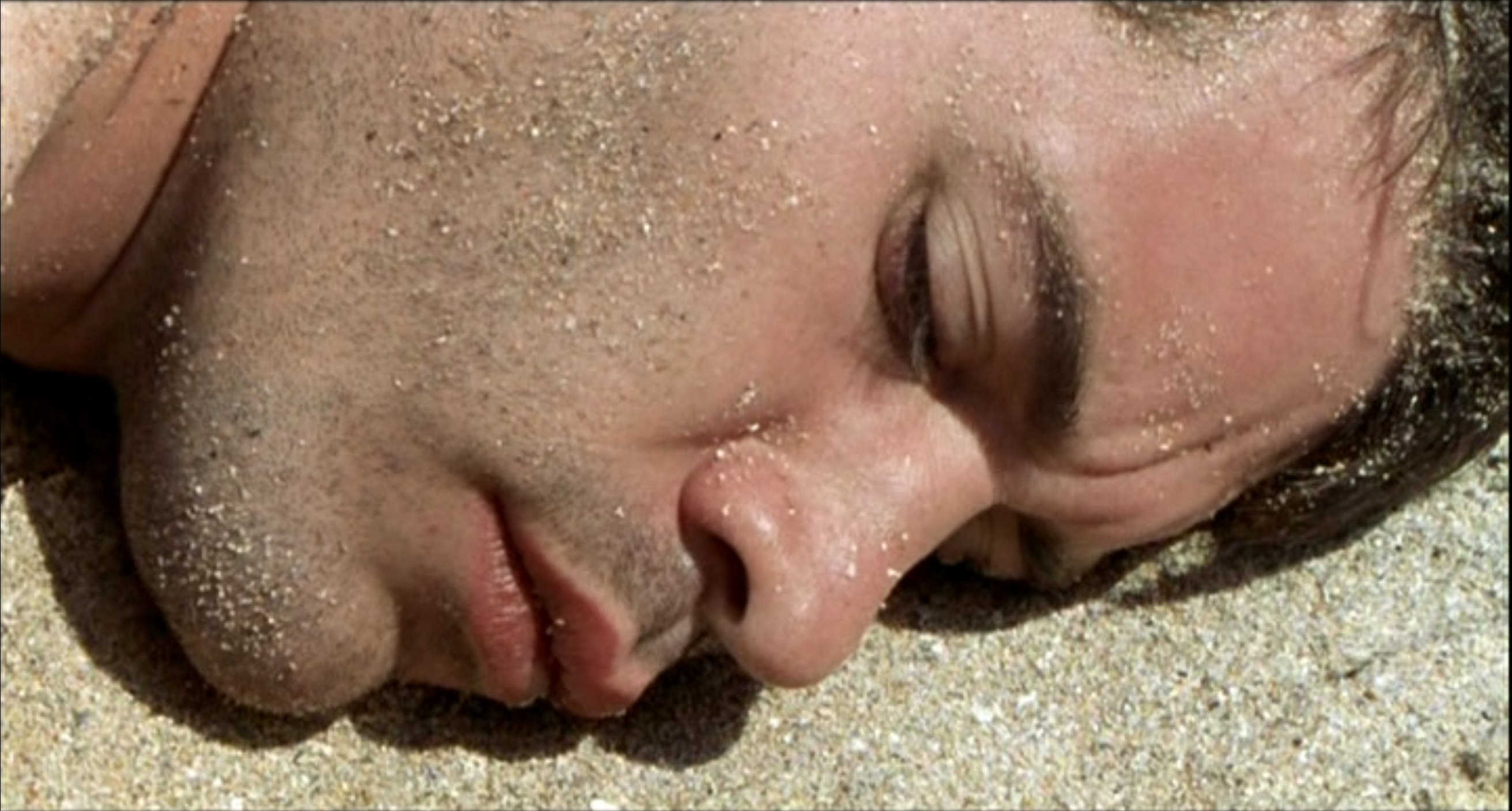 天敌剧照的剧照