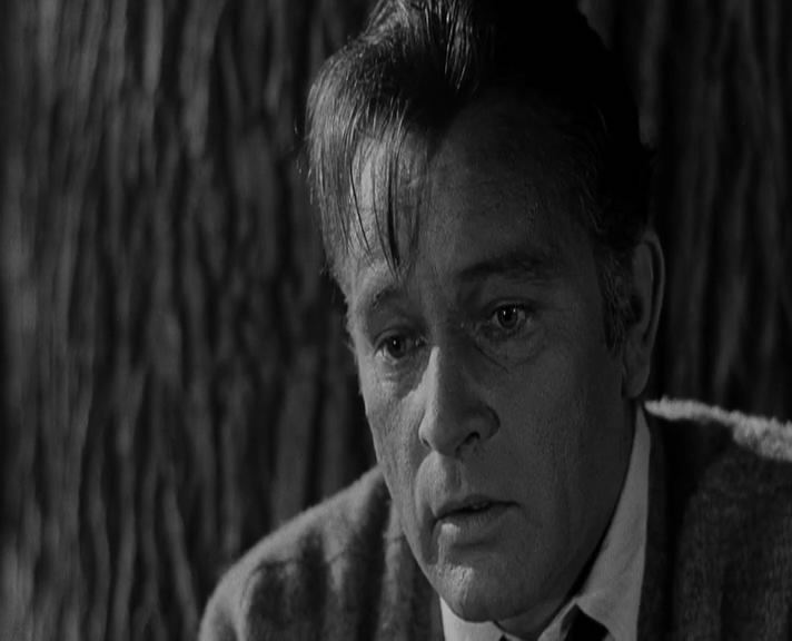 灵欲春宵剧照的剧照