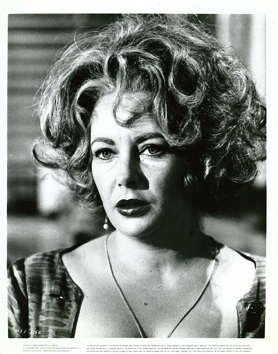 灵欲春宵剧照的剧照