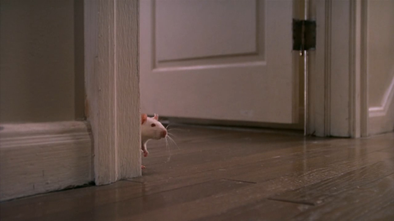 小鬼当家3剧照的剧照