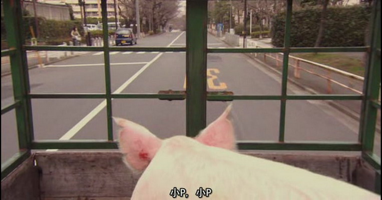 小猪教室剧照的剧照