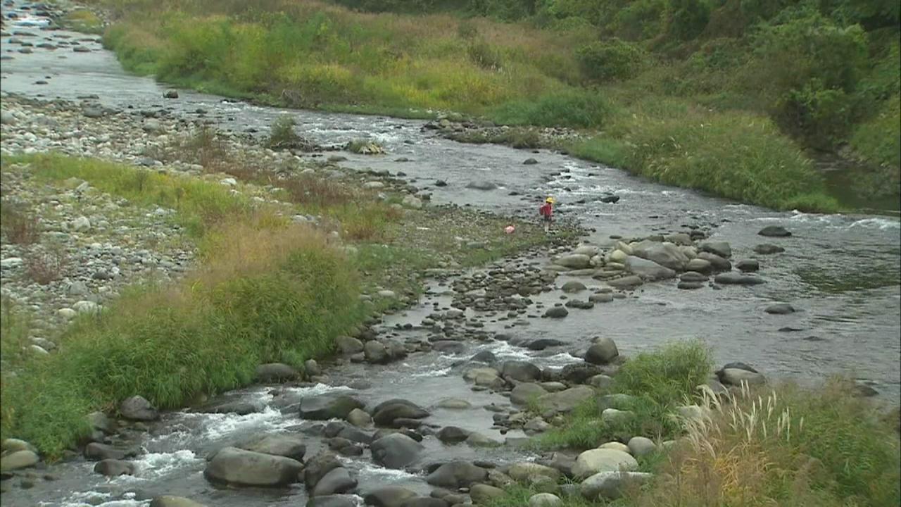 白杨之秋剧照的剧照