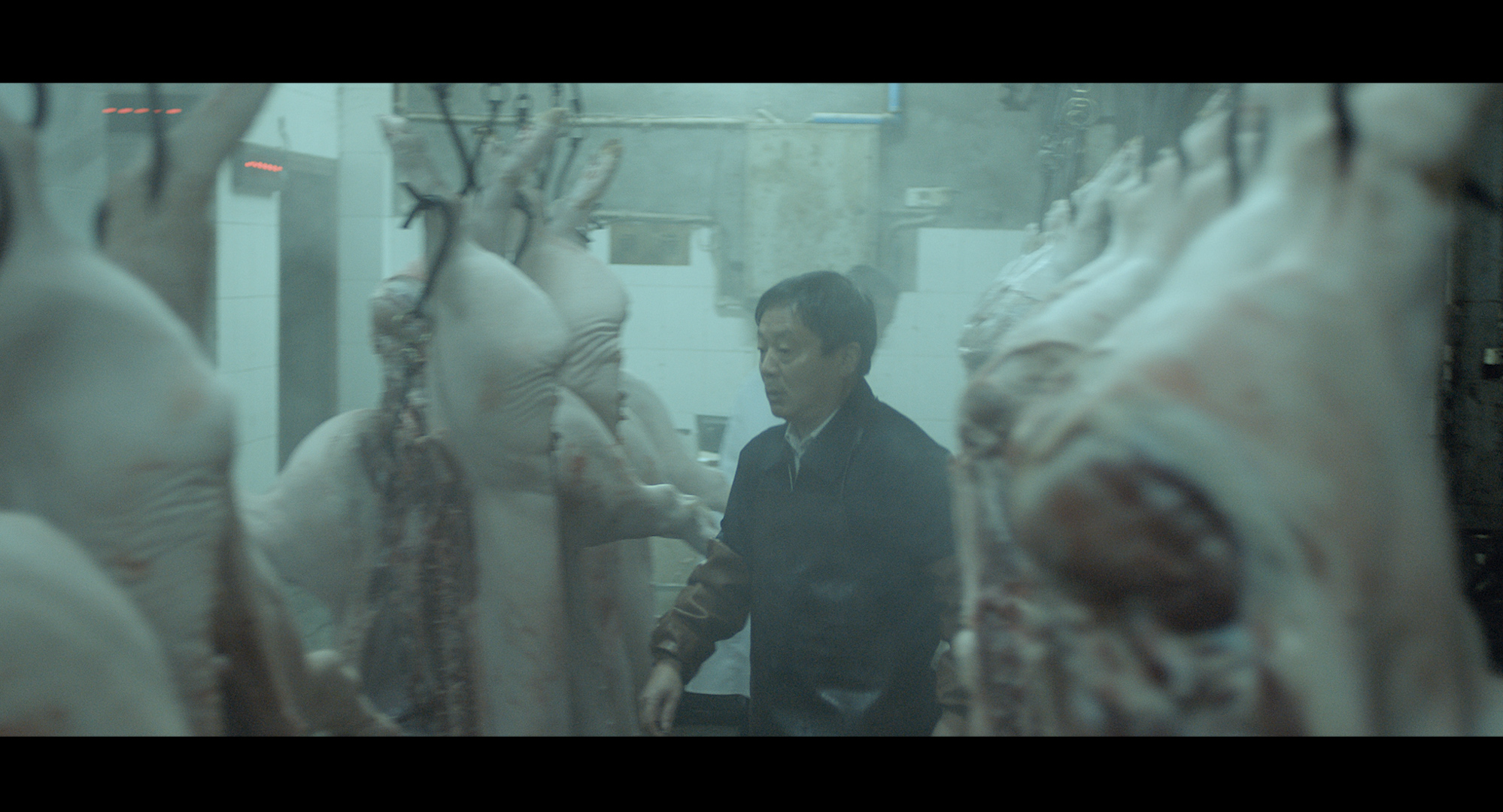 白夜最长时剧照的剧照