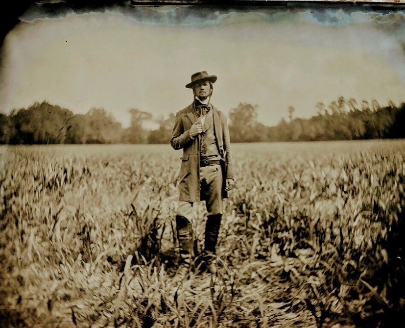 哈丽特剧照的剧照