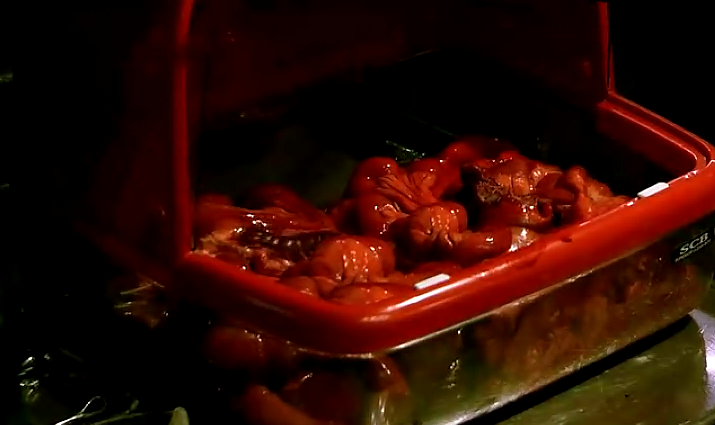 降头剧照的剧照