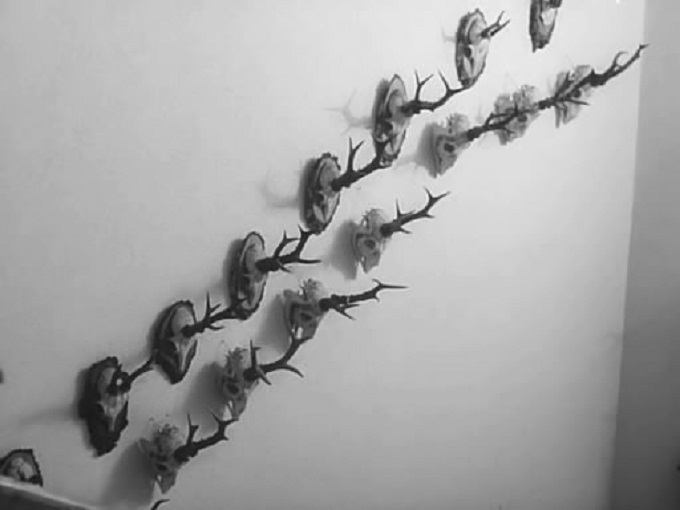 逝水年华剧照的剧照