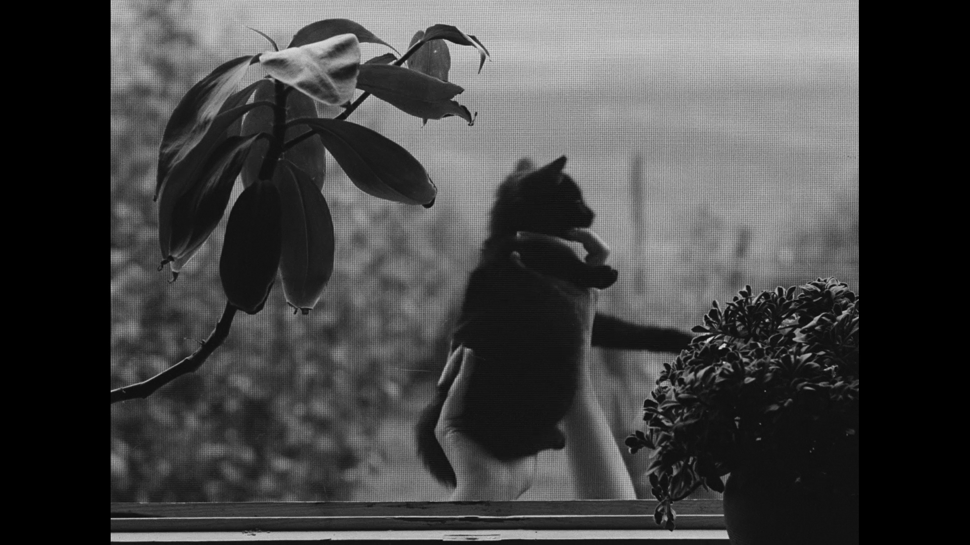 逝水年华剧照的剧照