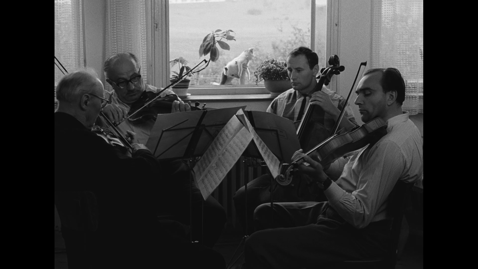 逝水年华剧照的剧照