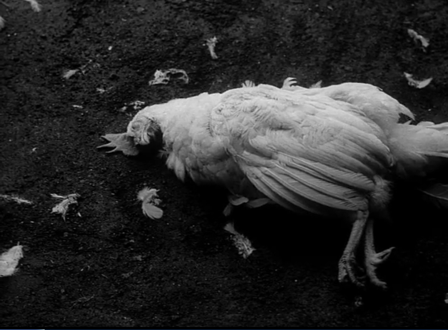 逝水年华剧照的剧照