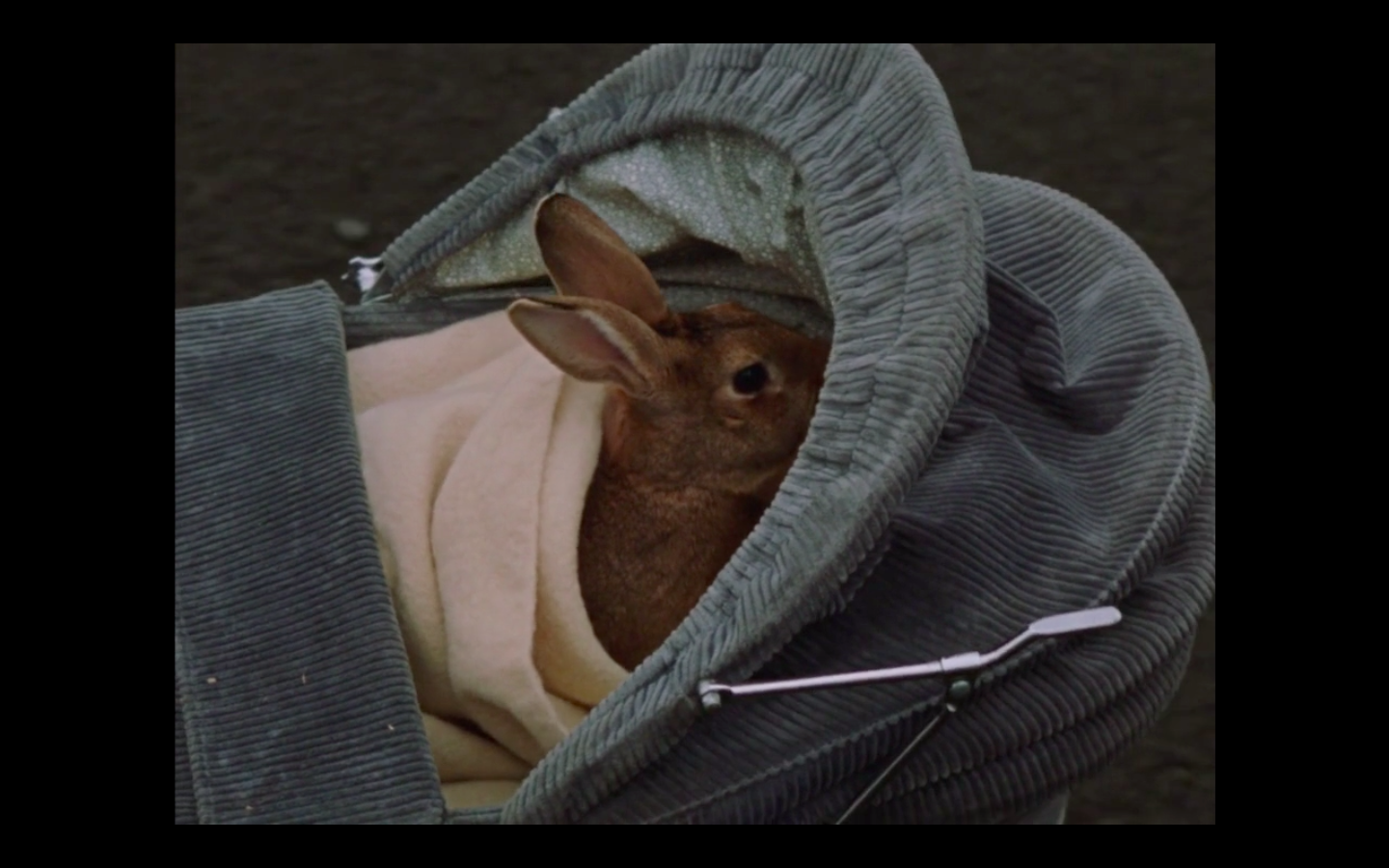 雷和莉兹剧照的剧照