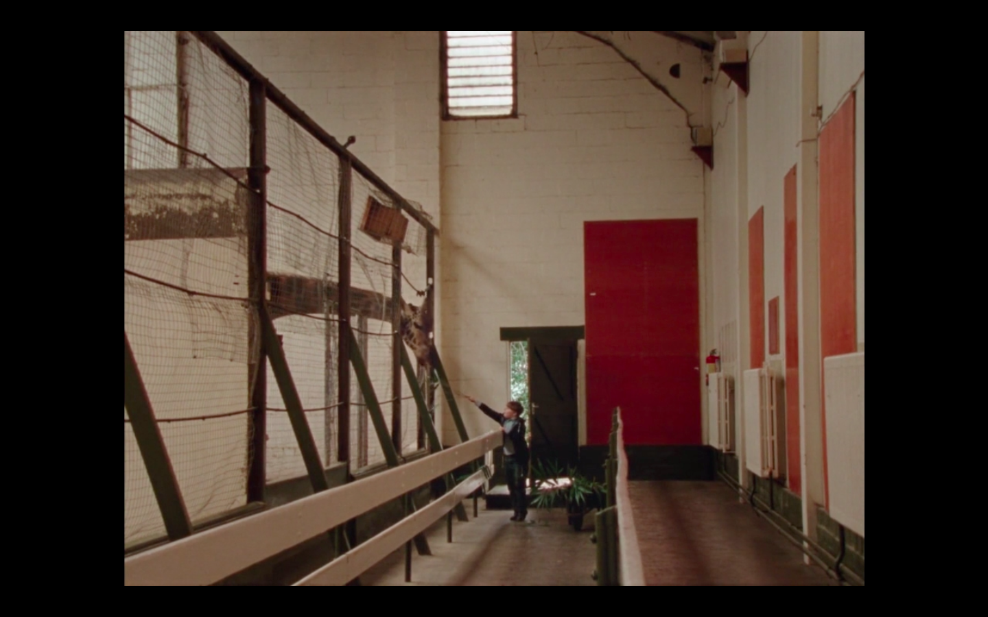 雷和莉兹剧照的剧照