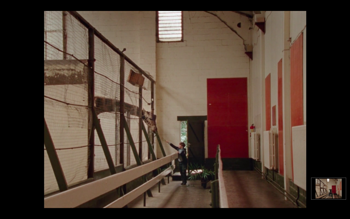 雷和莉兹剧照的剧照