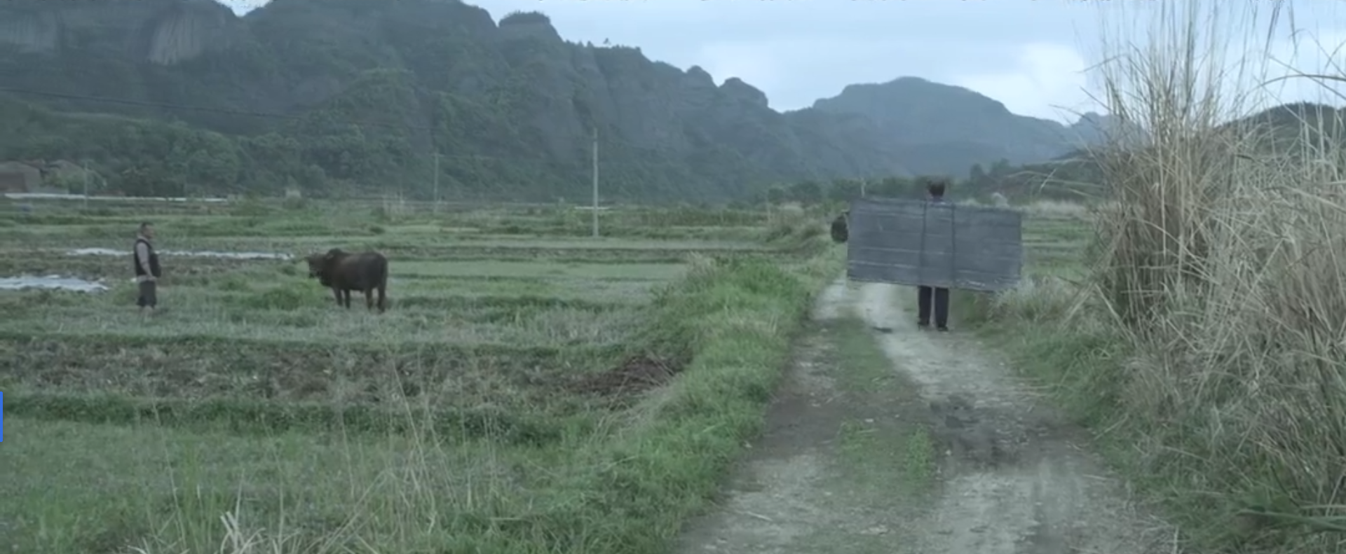 一个人的课堂剧照的剧照