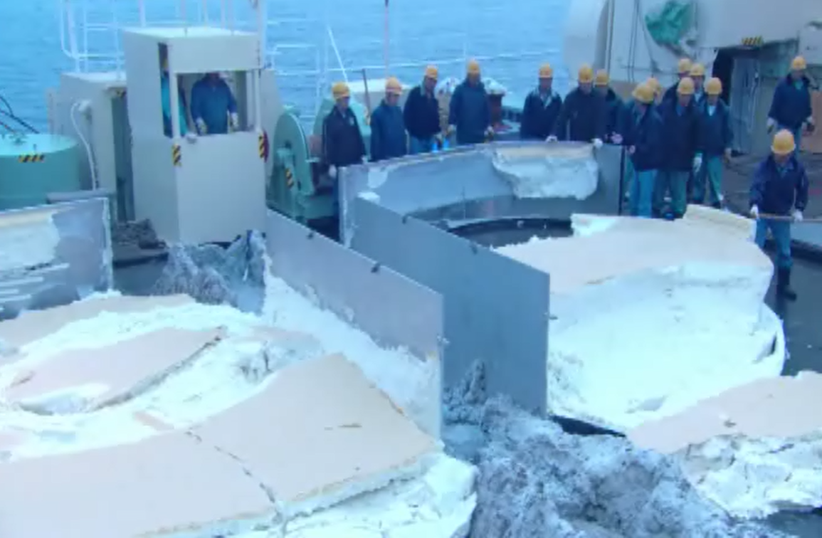 绘画抑制9剧照的剧照