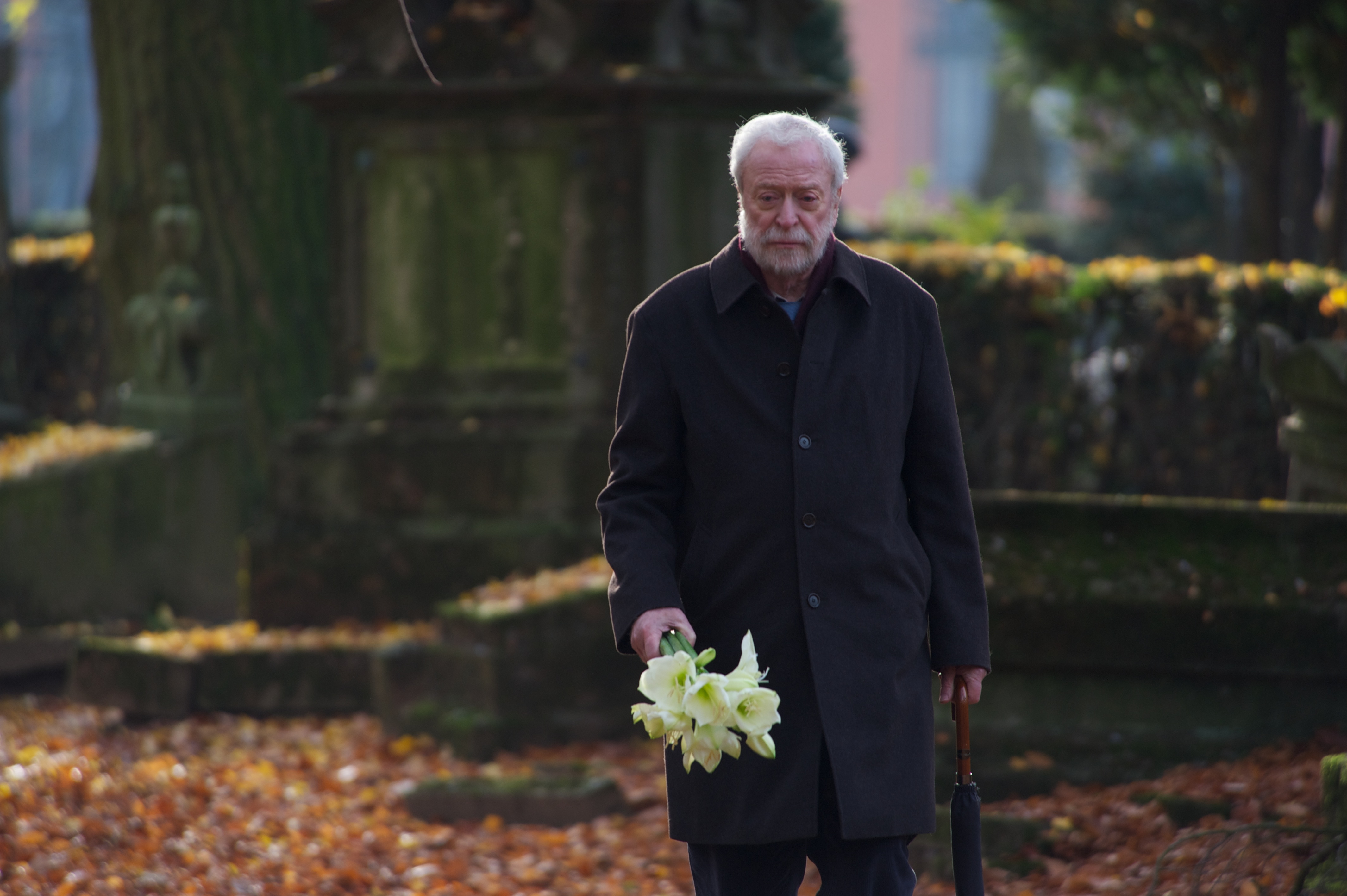 摩根先生最后的爱剧照的剧照