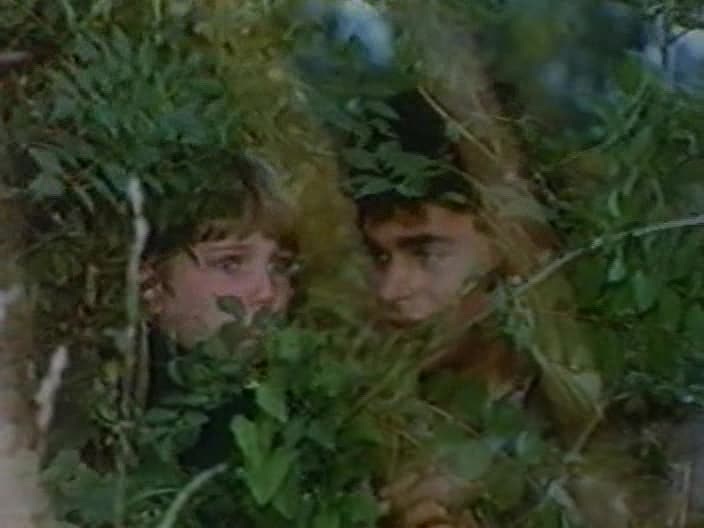 荨麻种子剧照的剧照