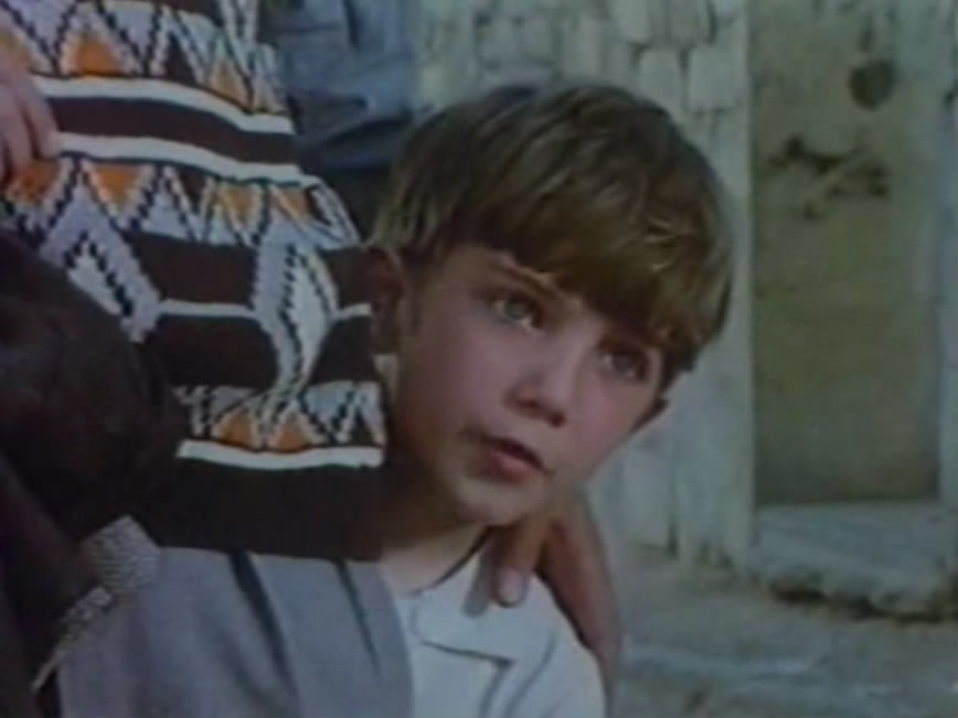 荨麻种子剧照的剧照