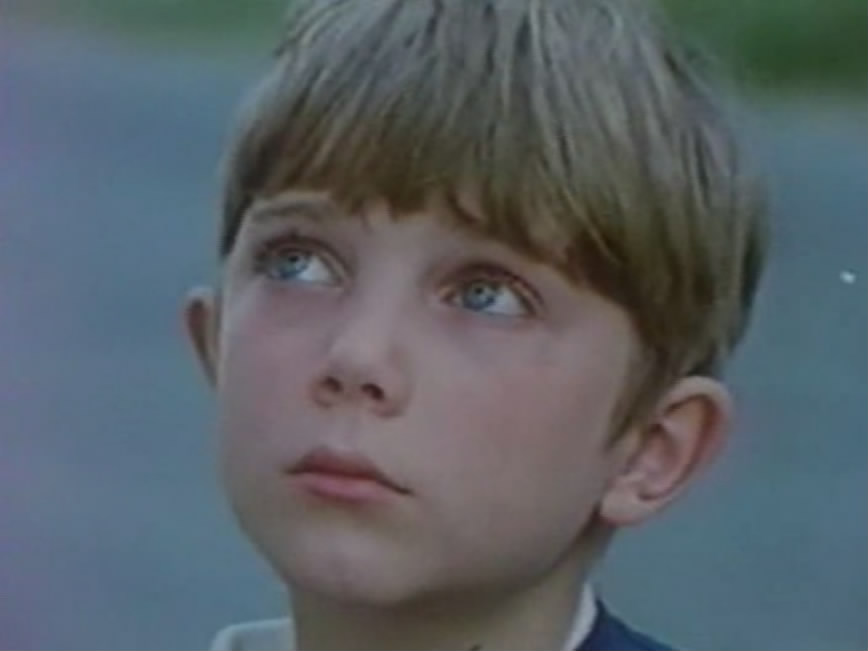 荨麻种子剧照的剧照