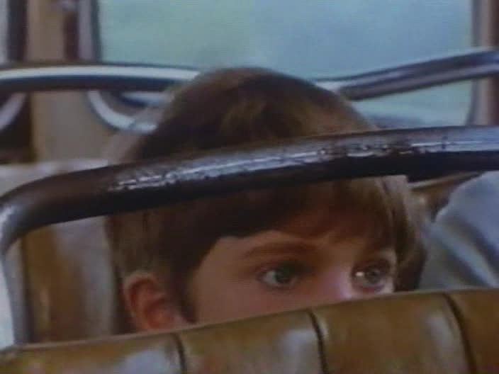 荨麻种子剧照的剧照