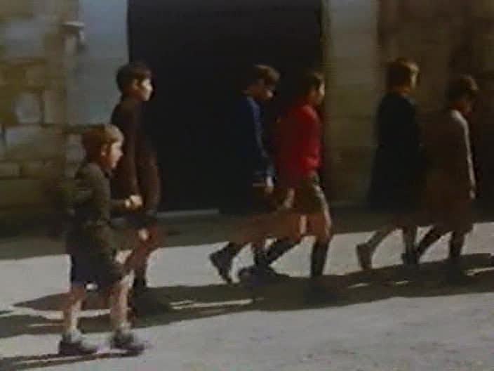 荨麻种子剧照的剧照