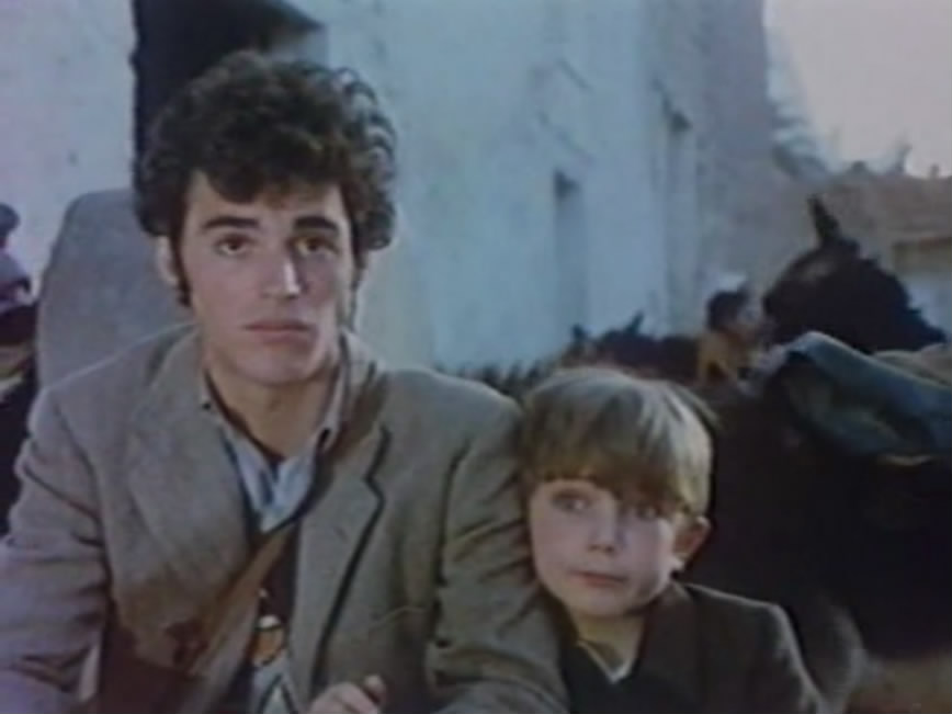 荨麻种子剧照的剧照